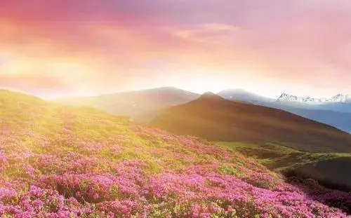 全部的成语！太齐全了，值得收藏！