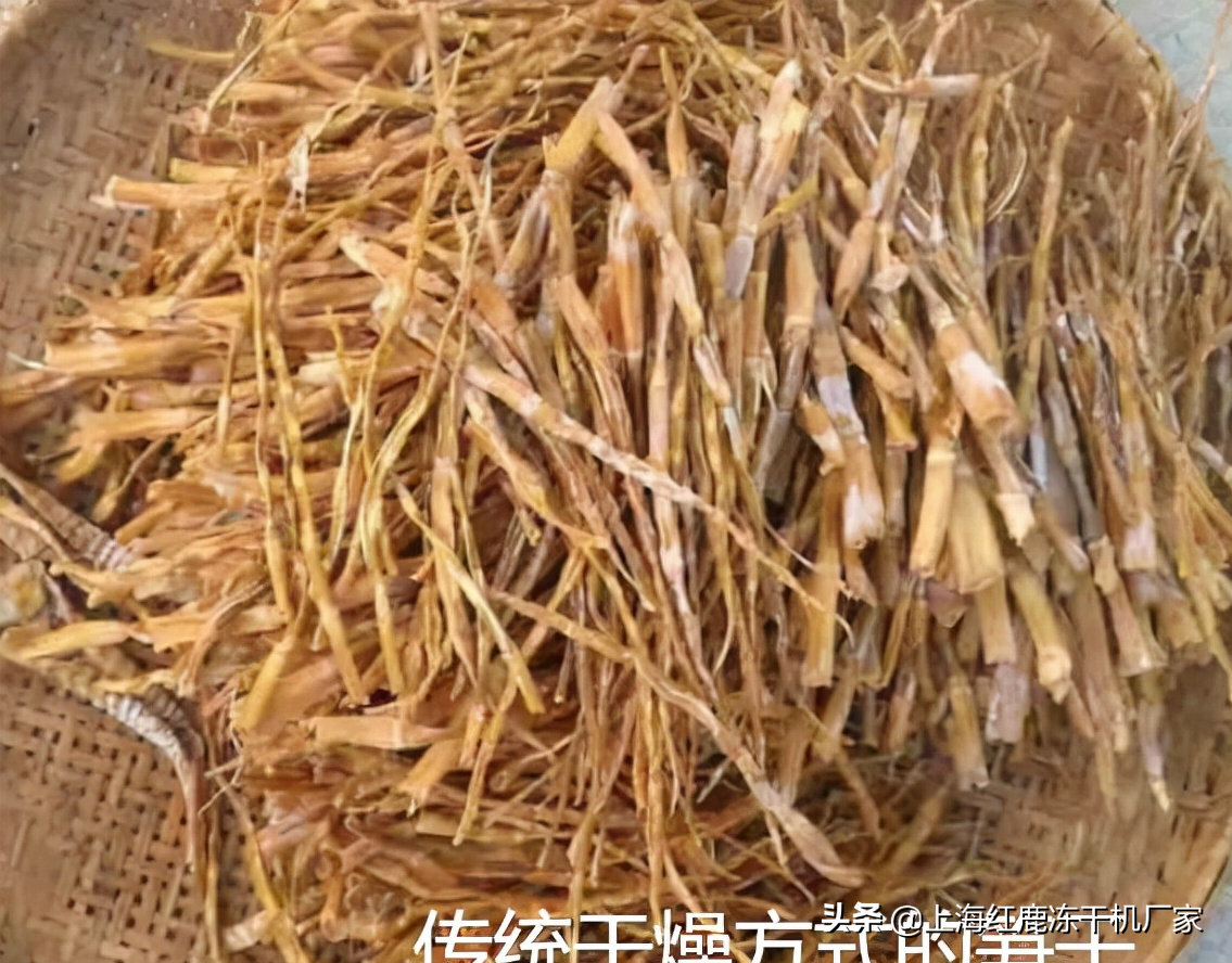 竹笋冻干机技术优势，竹笋冻干机生产工艺流程