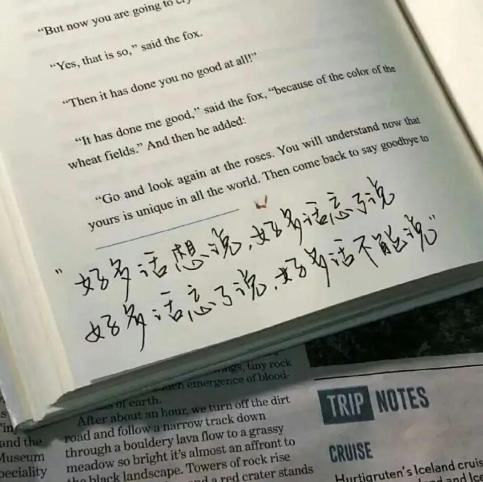 不容忽视的狠角色—「一万元蓝鸟经典、思迪、花冠横评（下）」