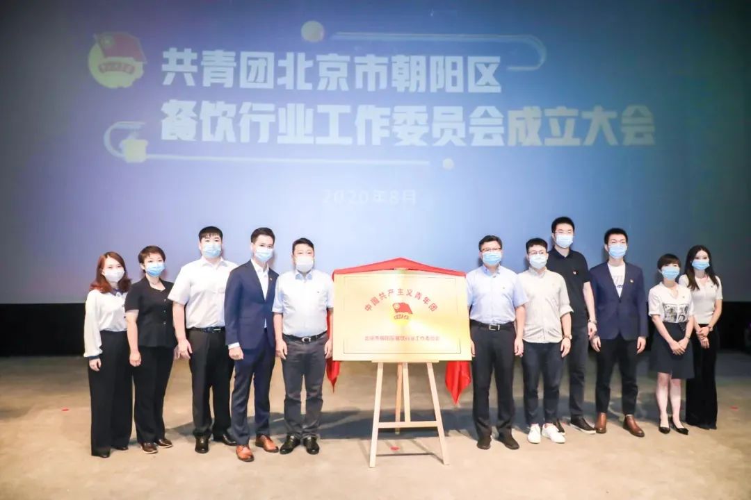 「改革进行时」团北京朝阳区委以行业团工委建设为代表 持续扩大“两新”团组织有效覆盖