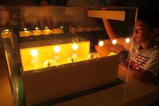 适合夏天游玩的，深圳十大免费室内的好地方