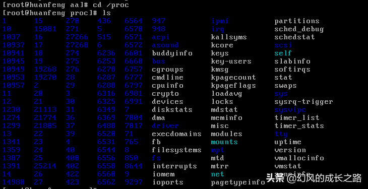 Linux操作系统一切皆文件