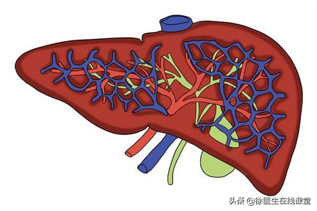 乙肝严不严重，不是看表面抗原和病毒DNA：你需要看这些检查