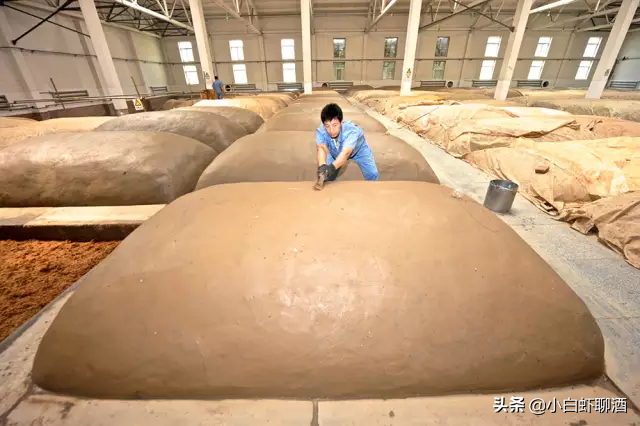 河北不只衡水老白干，4款地区酒口感不错，可惜知道的外地人不多