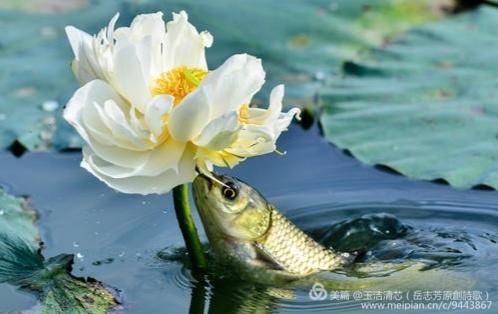 原创古风诗十首