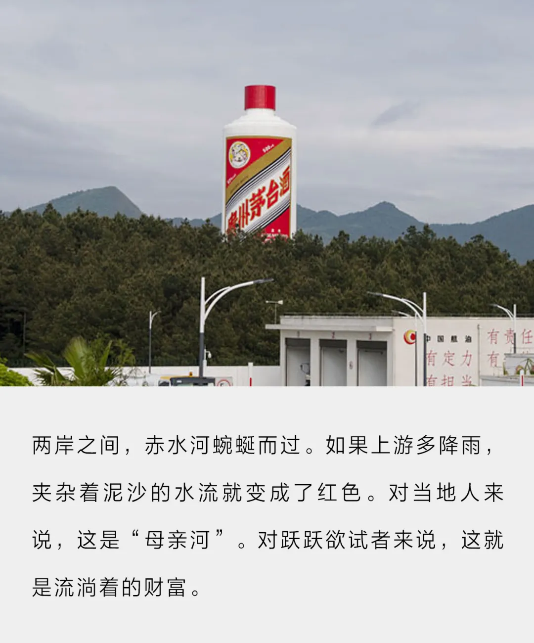围猎茅台镇,金钱永不眠