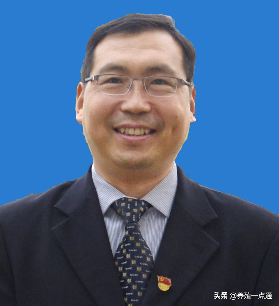 青岛农业大学怎么招鸡（田亚东）