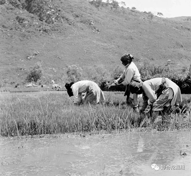 20年代的中国农村是什么样子？（16张老照片）