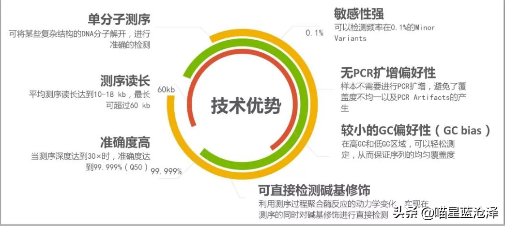 狗狗也能做亲子鉴定？临床兽医告诉你，不仅仅用来鉴定父子关系