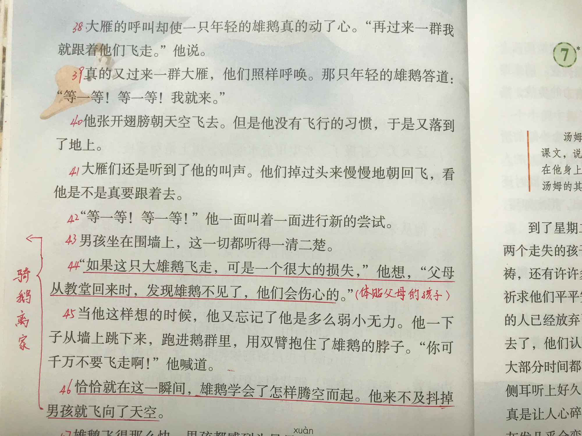 部编版《骑鹅旅行记（节选）》，资深语文老师带你学好这一课