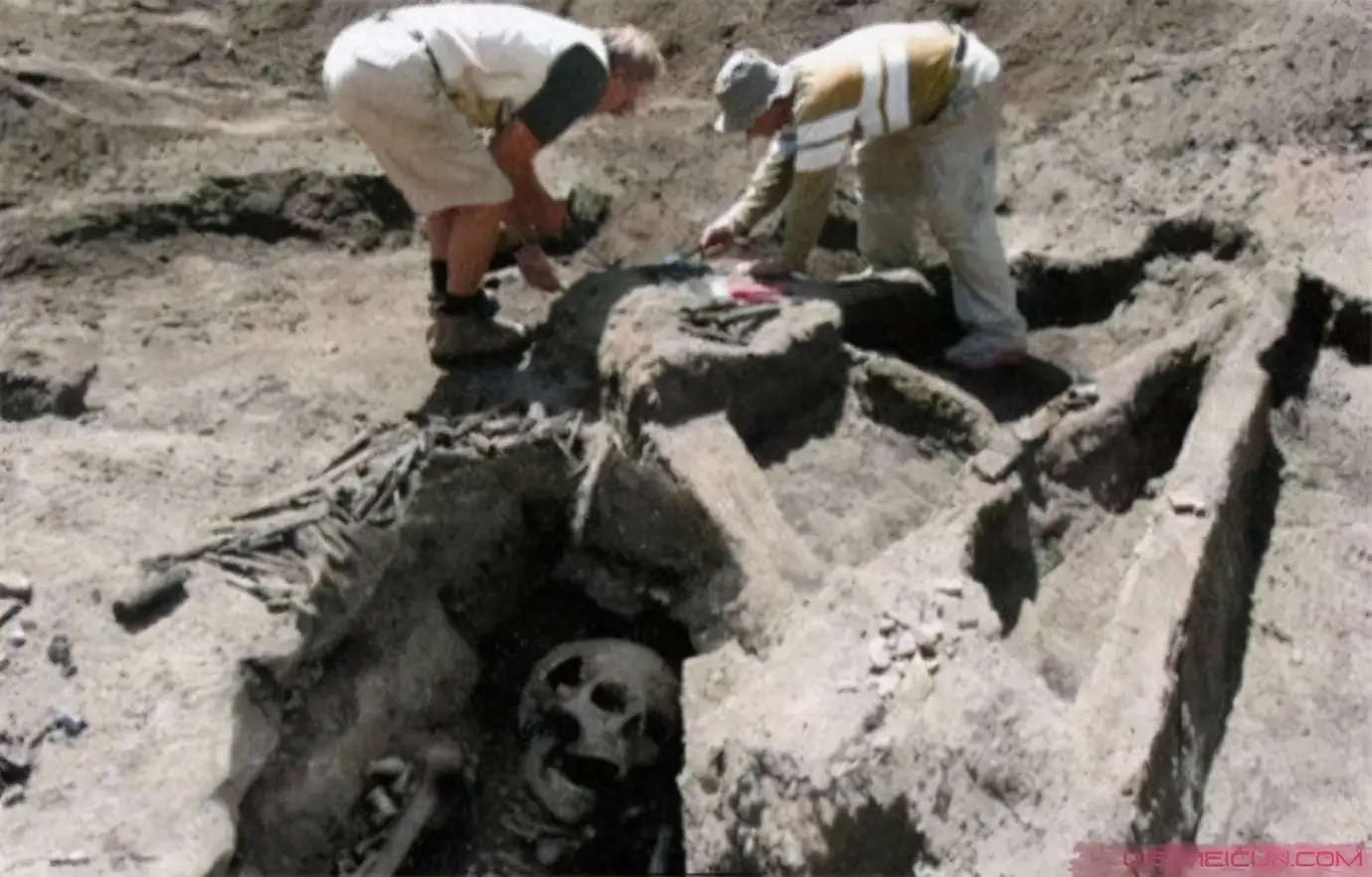 科学家不敢公开的发现（世界上曾有5米高的巨人）