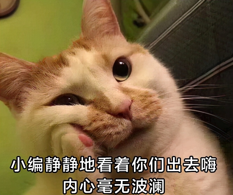 荣家湾到岳阳市区，将新增一条快速通道！岳阳一地上榜国家级名单