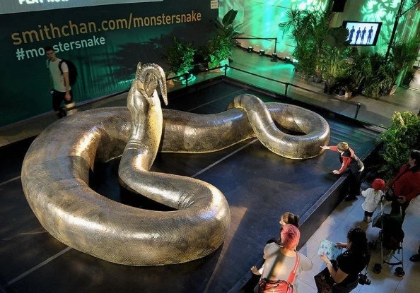 最大的蛇到底有多大？印度发现罕见巨蟒：调来挖掘机才将其捕获