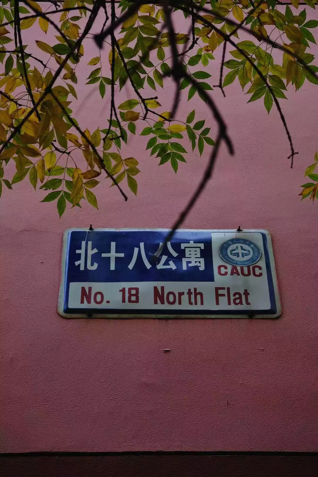 中国这10所大学壁纸第二期！厦门大学、中山大学等在列