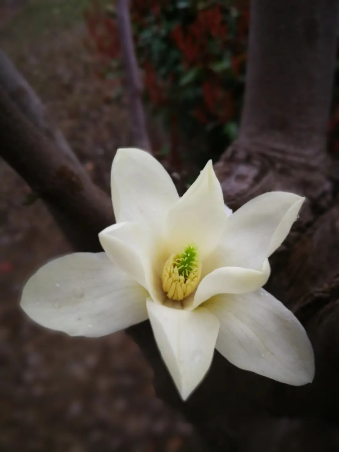 怀德学院“心怀正气 尚德倡廉”文化作品展