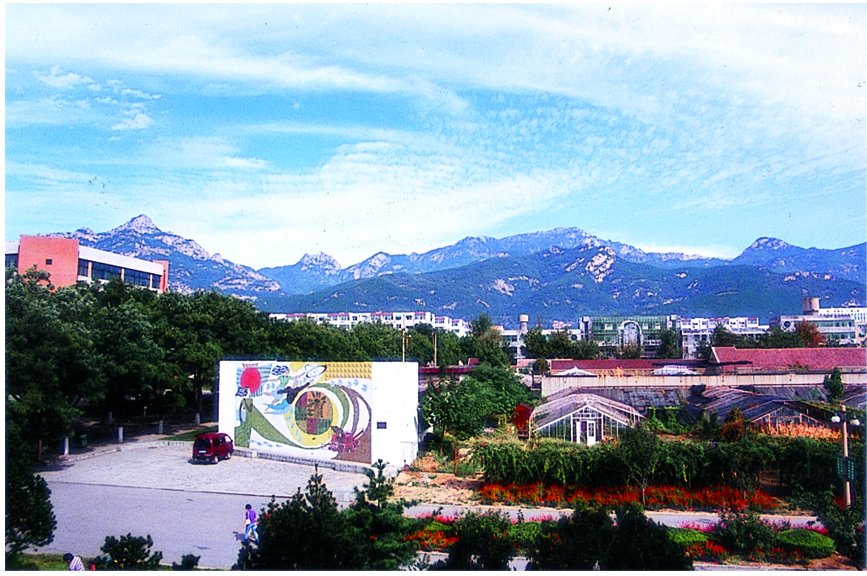 山东农业大学2020年招生计划，2019年分专业录取分数