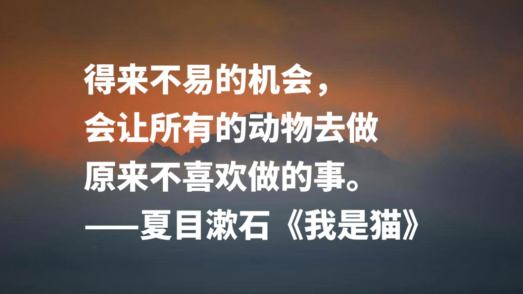 日本文学巨匠夏目漱石，代表作《我是猫》十句摘抄，句句轻快洒脱