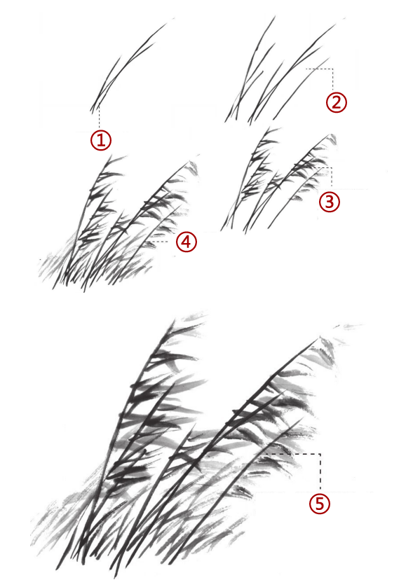 92问怎么画芦苇
