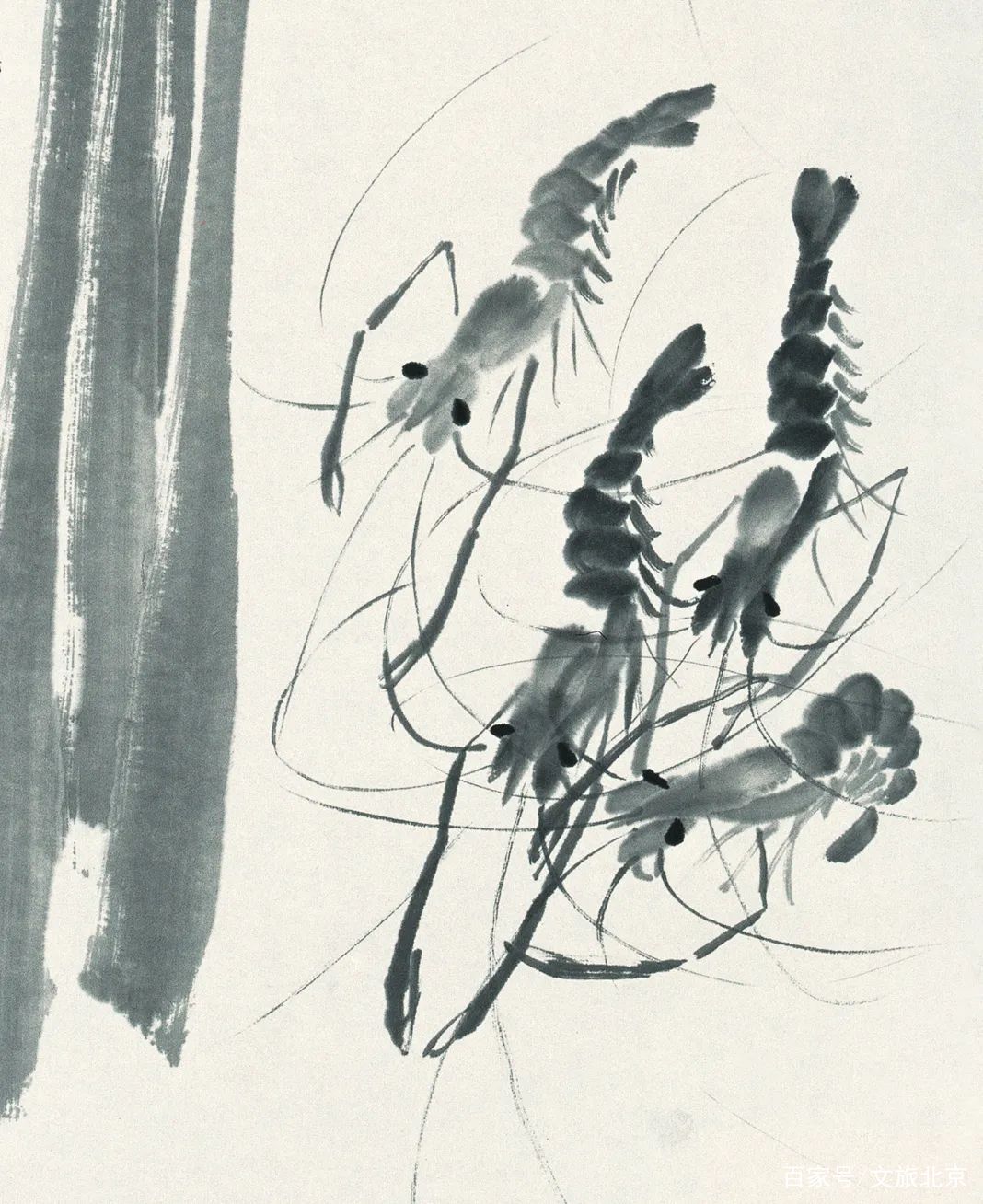 「品读丹青」齐白石画虾,妙不可言