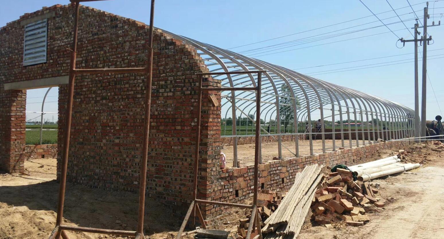 养猪大棚如何建?满足养殖的需求又能省钱,看我设计的是否有道路