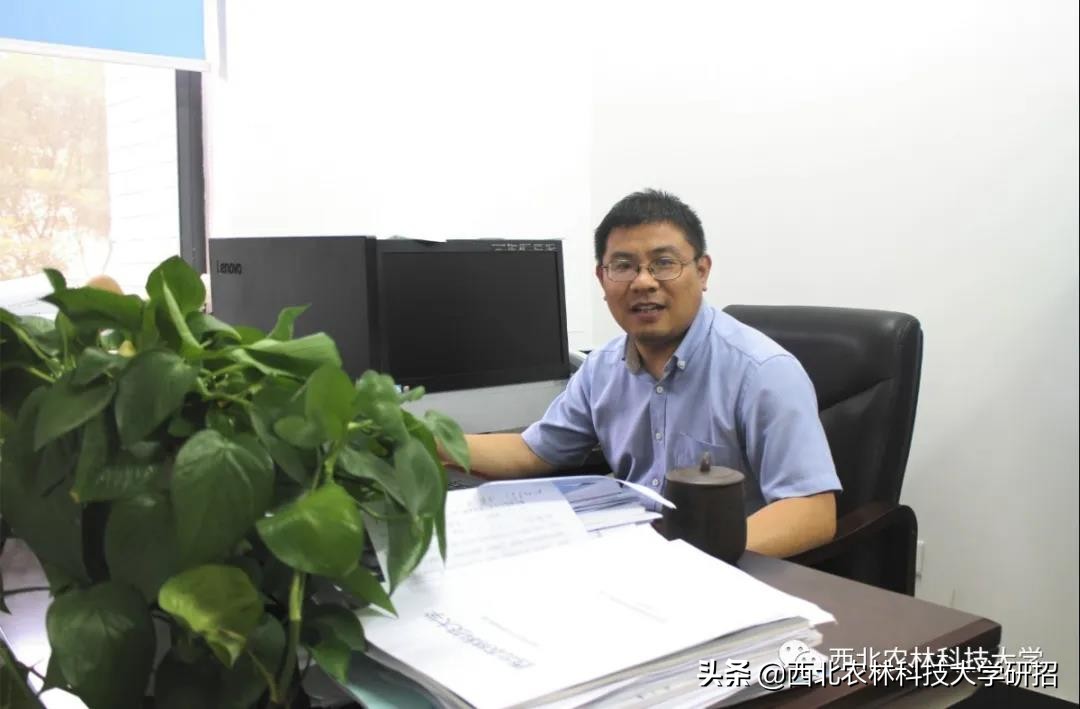 骄傲！陕西10位