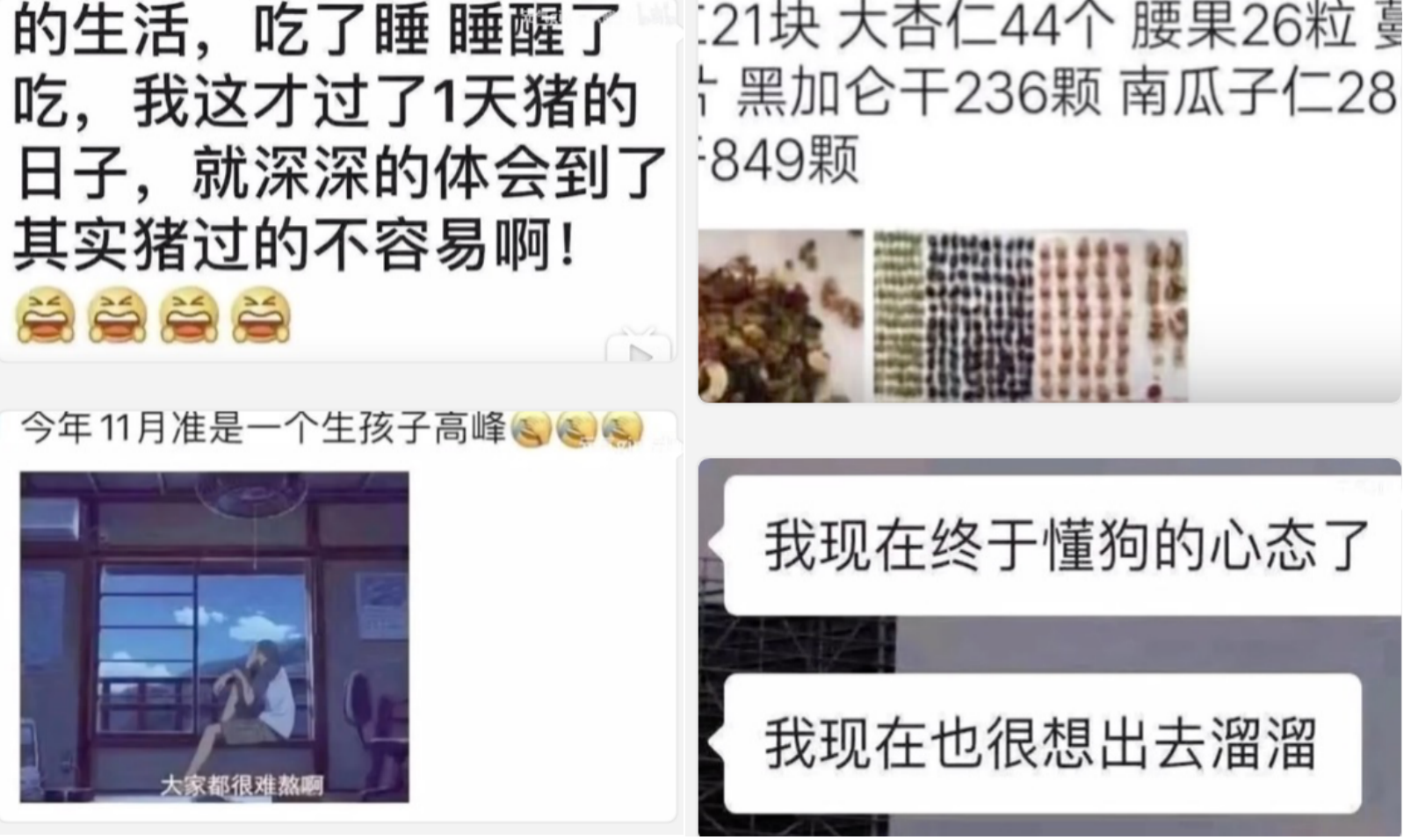 才“宅”了10天，为什么你快“憋”疯了？