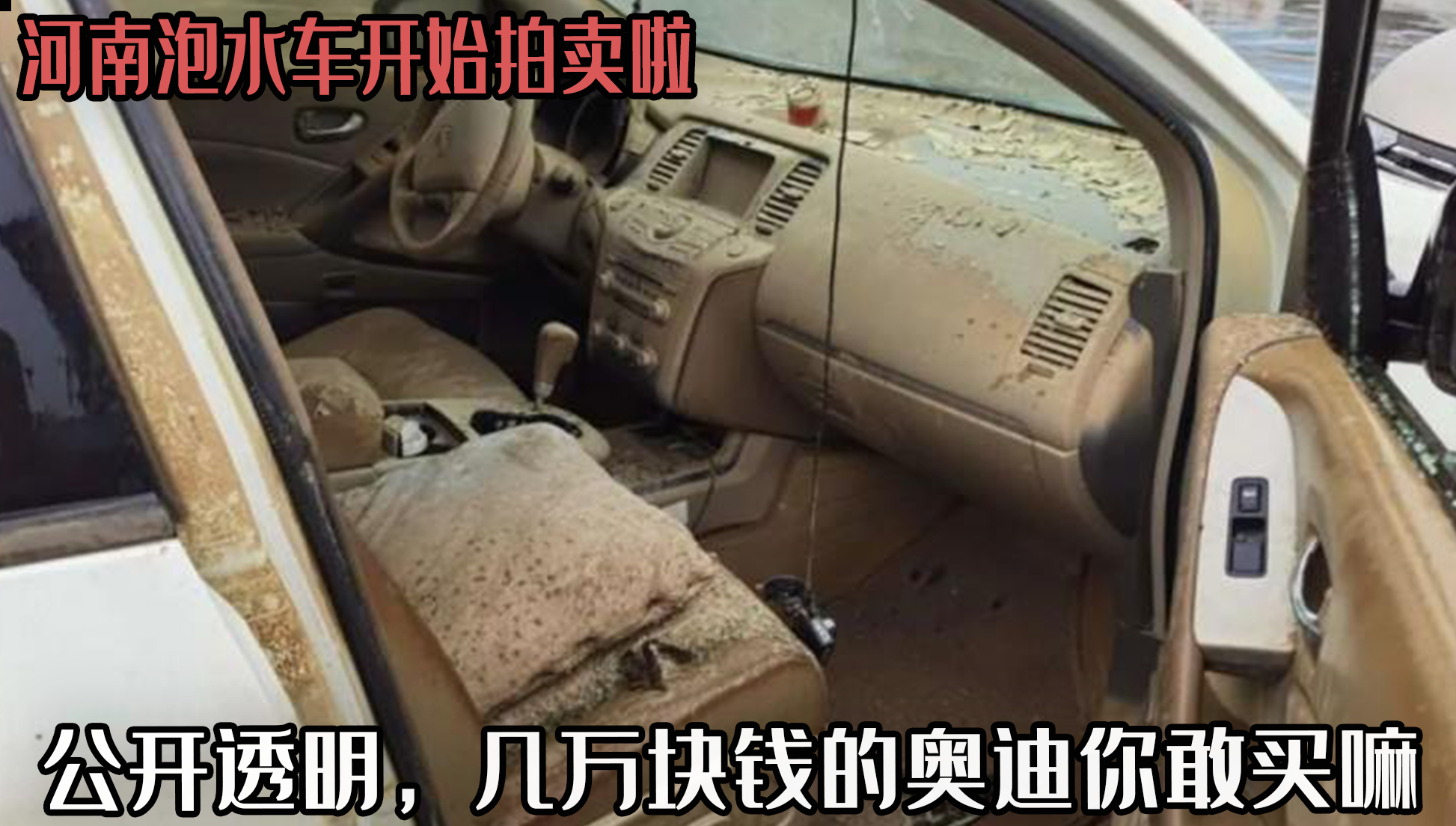 奥迪河南泡水车启动拍卖程序