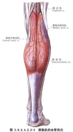 nba球员起跳为什么膝盖内扣(体能康复 | 跳绳中容易出现哪些问题呢？)