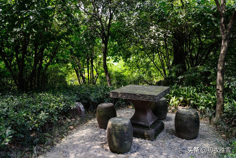 春去夏来，赏读立夏诗词六首，繁花尽，槐柳阴，梅子雨，樱桃熟