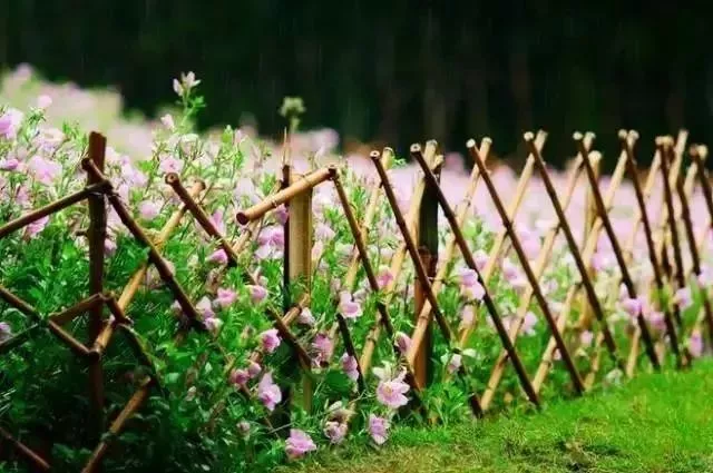 余生，想要一个院子，看花开花落