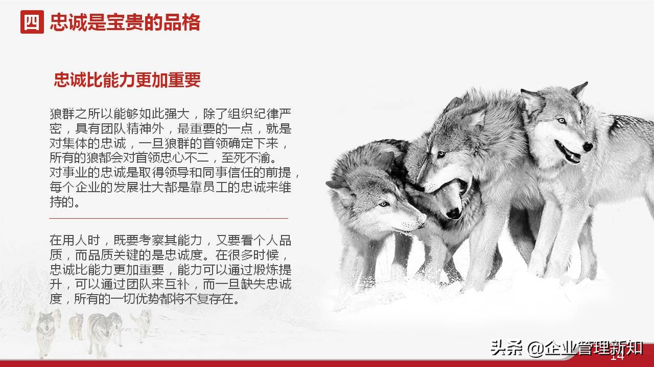 33页完整版，狼性文化与企业精神培训PPT，可直接用于员工培训