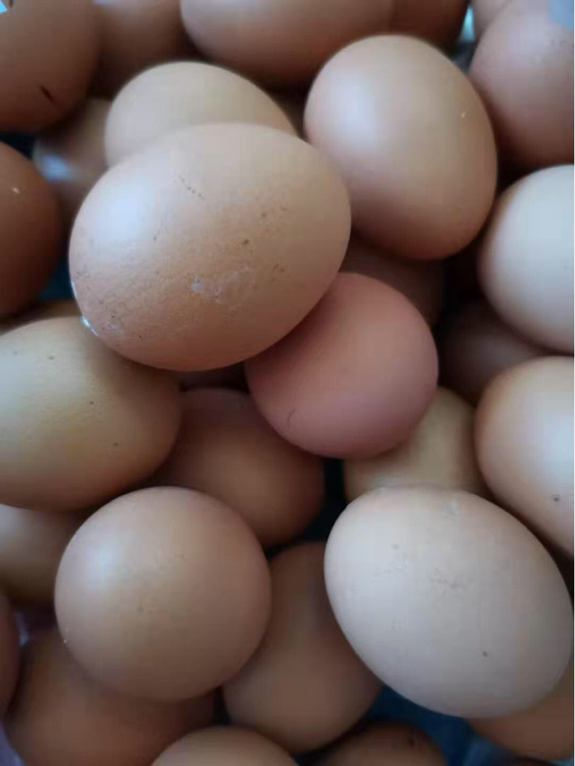 燕条和燕盏有什么区别(鸡蛋营养含量高，是燕窝的“平价替代品”，一天吃一个营养充足)