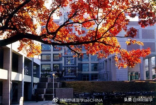 韩国留学 | 最适合中国留学生的韩国国立大学TOP10