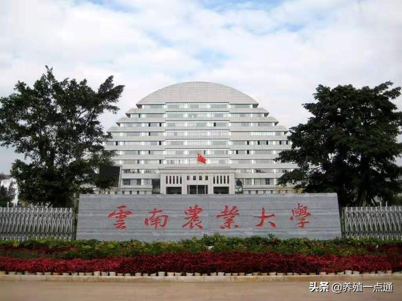 苗永旺，云南农业大学动物科学系教授、博导，动物遗传专家