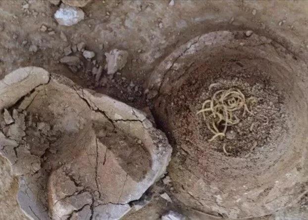 兰州牛肉面，兰州人不可碰触的伤痛