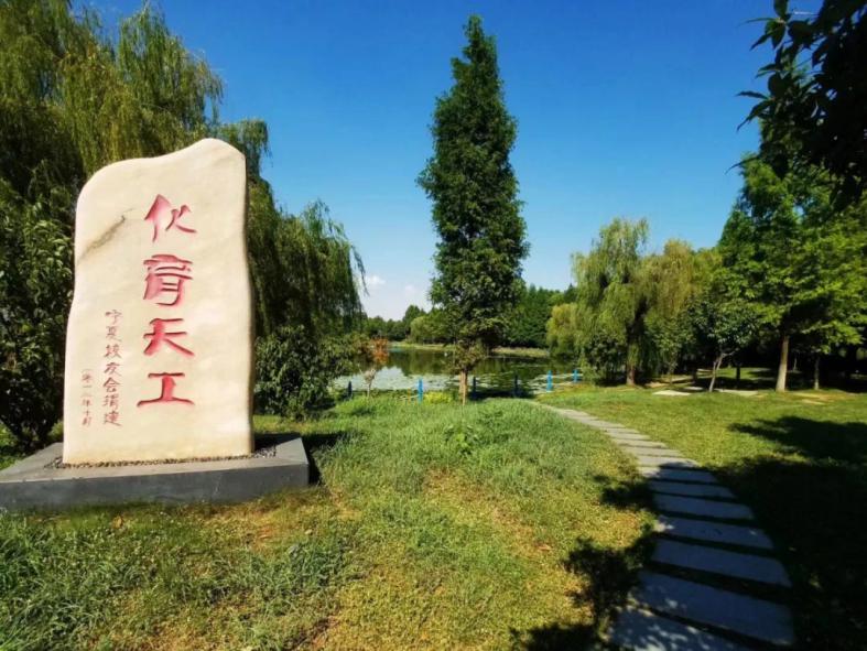 一本考生：填报志愿必看，湖北这所高校不容错过！两校区地铁直达