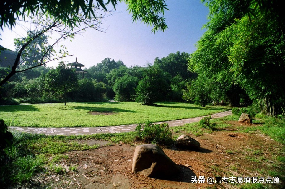 武汉理工大学优势专业分析及2019、2018、2017年各省录取分数线