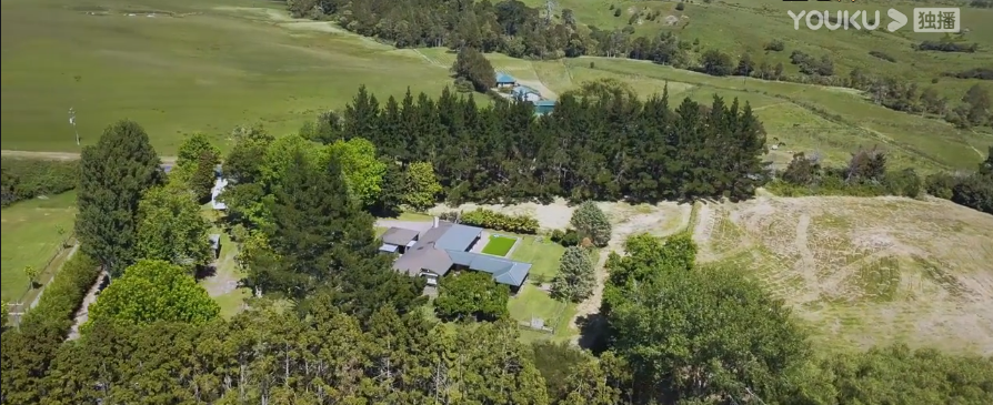 新媒体影视圈｜（1月13日-1月15日）