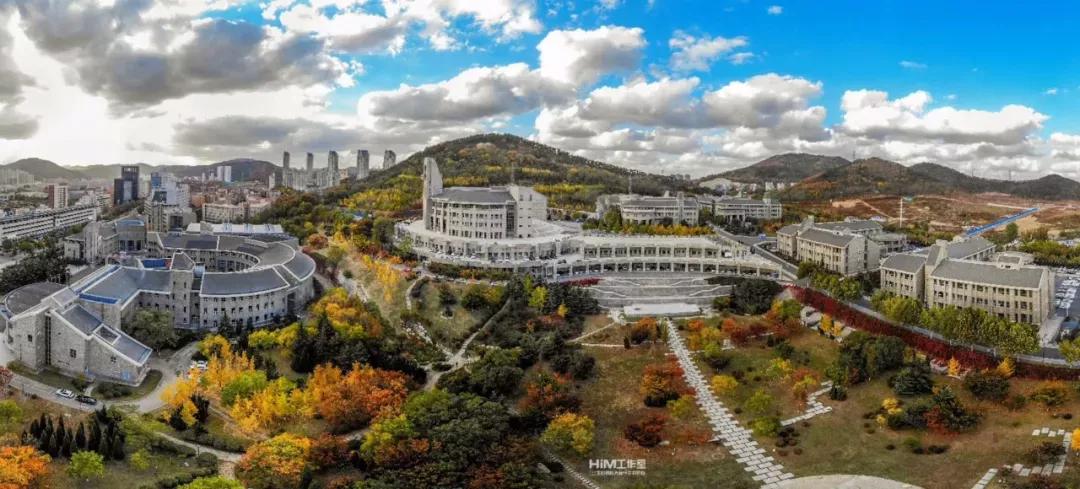 辽宁省民办大学(二)大连东软信息学院