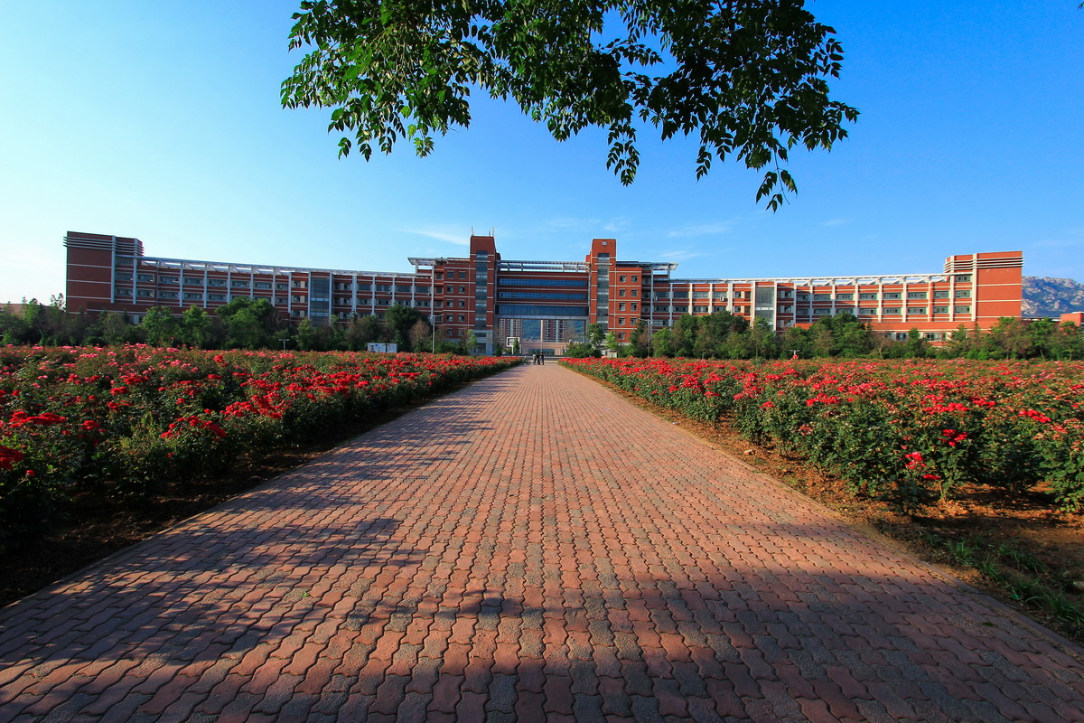 大学排名新出炉，哈工大荣登第一，清华大学竞赛成绩没进前五