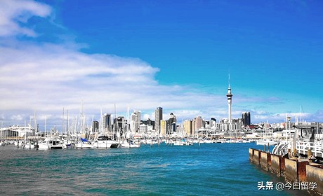 新西兰奥克兰大学留学申请条件