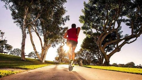 10篇写高三高考的优秀作文：有备战经历、写作方法，可治愈心灵