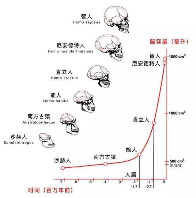 人到底从哪来？第一个人是谁？