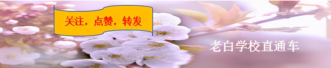 10年高考作文（2021高考10篇作文）