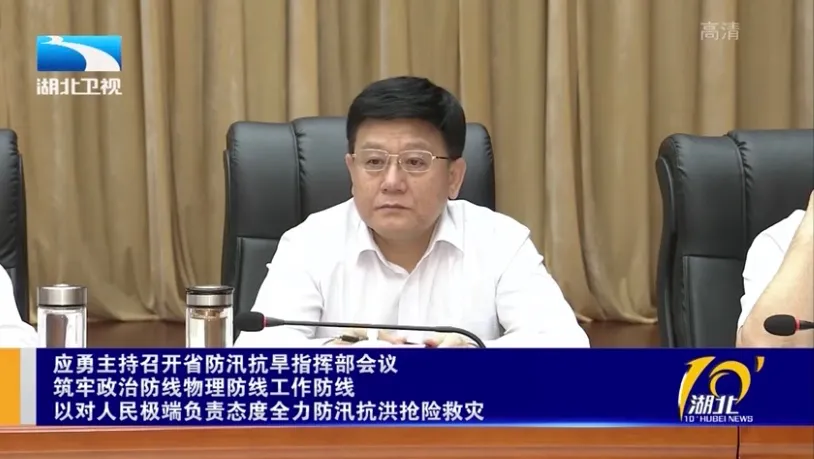 火线入鄂逾5个月,湖北省委常委王贺胜卸任省卫健委主任