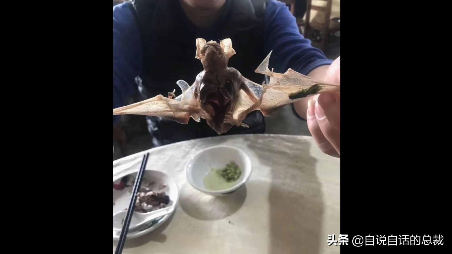 埃博拉：人类的诅咒，你的身体如何对抗它，它到底有多恐怖