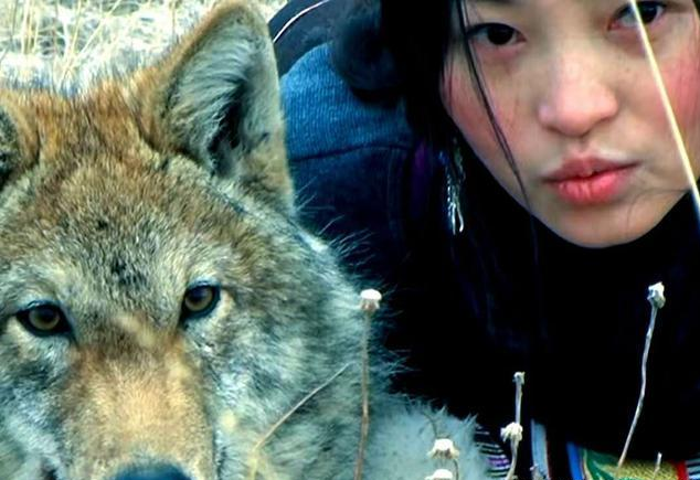 美女画家拼命救狼养狼助其重返狼群，与狼共舞，十年后感人重逢
