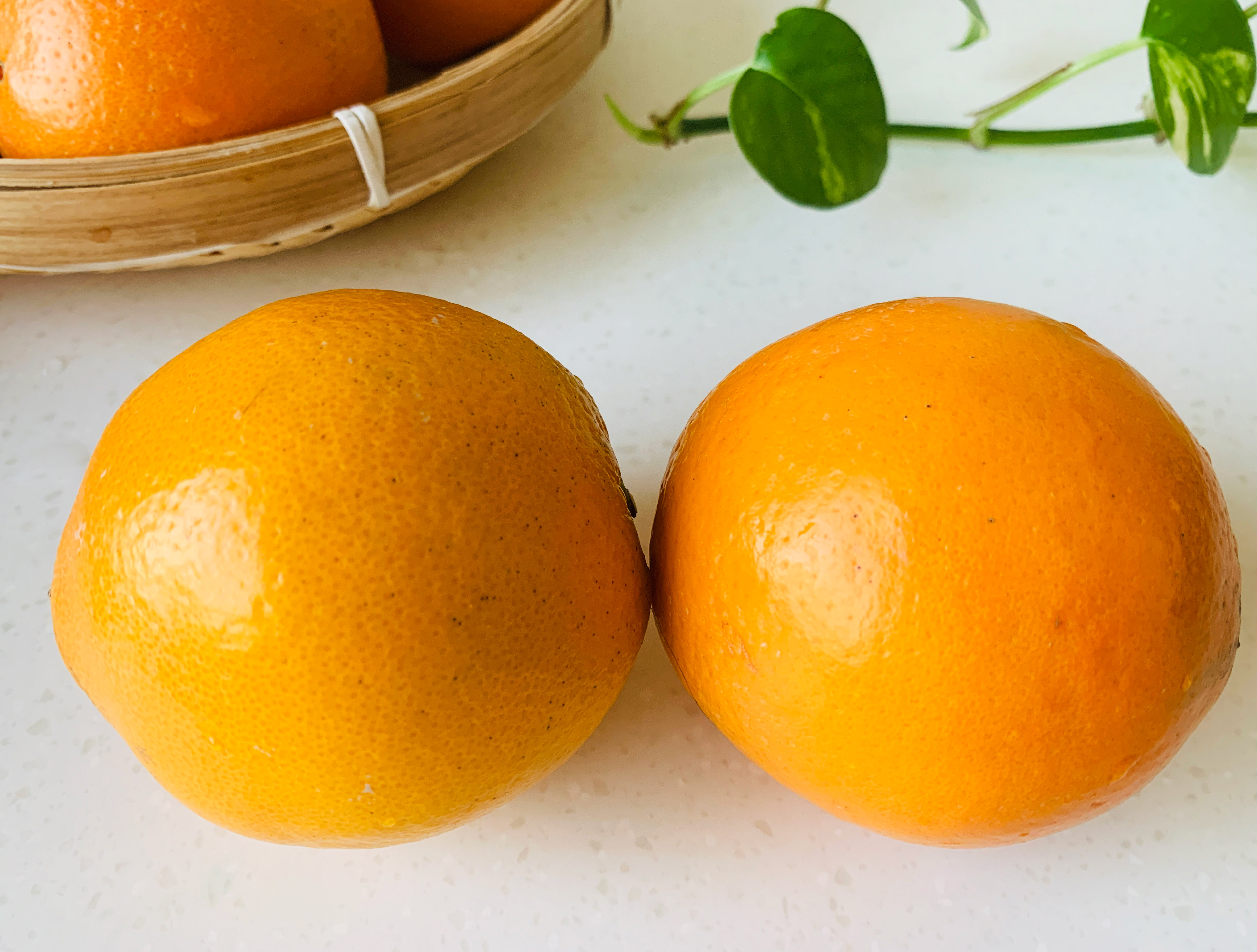 你会挑选脐橙吗？水果达人分享妙招，掌握6点，皮薄汁儿多又清甜