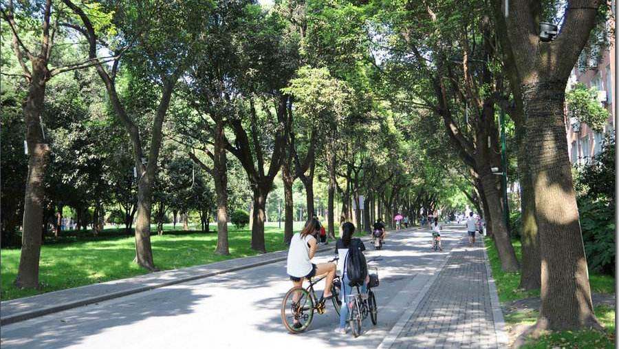 这所理工院校位于上海，比较适合中等考生，就业前景不输名校