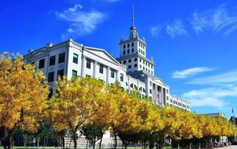 国内工科实力强的大学，被称为中国的“麻省理工”，业界声誉很高